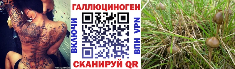 Галлюциногенные грибы GOLDEN TEACHER Лукоянов